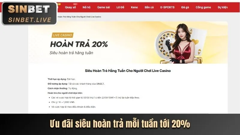 Cập nhật tính năng mới và nâng cấp hệ thống